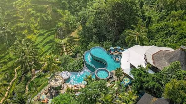 An infinity pool cut into the Balinese jungle above a river gorge