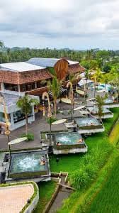 An Ubud resort seen from above, its villas each with a private plunge pool