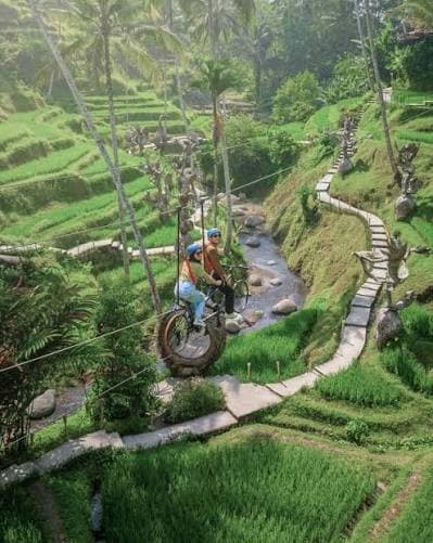 A couple on a bicycle swing high above the green Bali rice terraces